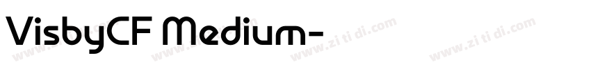 VisbyCF Medium字体转换